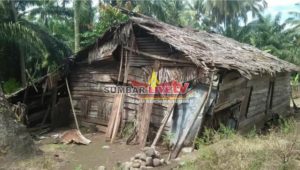 Jawana Huni Rumah Gubuk Warga Nagari Kinali Butuh Perhatian Pemerintah