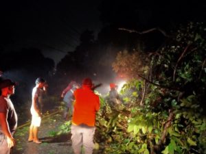 Akses Jalan Terhambat Akibat Pohon Tumbang