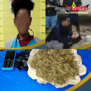 Pemakai dan Pengedar Ganja Berhasil di Ringkus