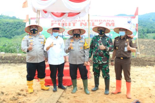 Polda Sumbar Tanam Bibit Nilam Bantu Perekonomian Masyarakat