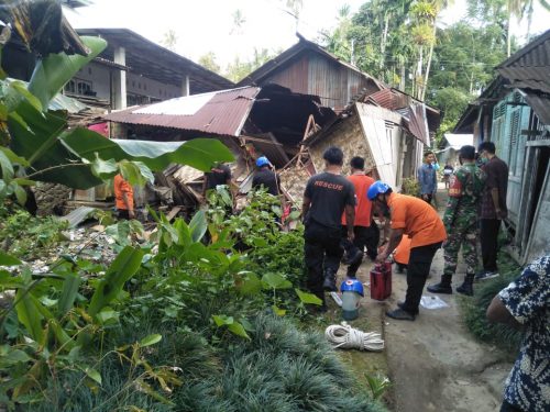 Pohon kelapa tumbang di Kabupaten Padang Pariaman