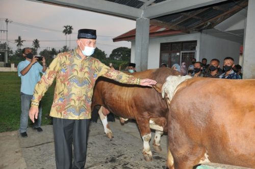 Gubernur Sumbar Mahyeldi Ansharullah Banga BPTSD Tuah Sakato Hasilkan PAD