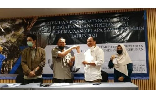 Program Peremajaan Sawit Rakyat di Dharmasraya Kembali Dilanjutkan