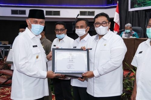 Tradisi Pacu Jawi Warisan Budaya Tak Benda Indonesia Tahun 2020