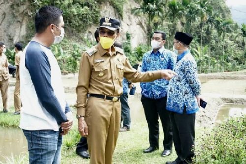 Bupati Safaruddin Kunjungi Budidaya Ikan Gurame Sago Asli Lima Puluh Kota