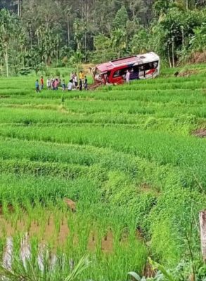 Mini Bus Pastra Mengalami Kecelakaan Tunggal