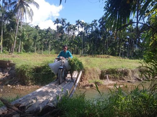 Miris ! Kampung Terisolir Maur Hilir di Batas 3 Kabupaten