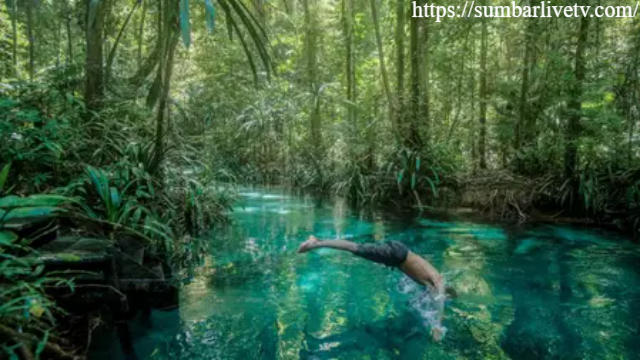 Sungai Pedalaman Hutan Warsambin Raja Ampat